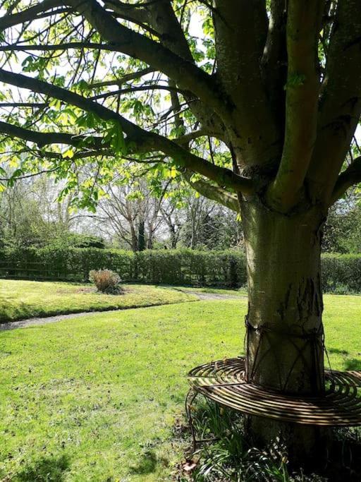 Host & Stay - Clara Cottage Bretforton Exterior photo